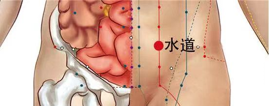 养生|经络穴位，一日一学——水道，关爱女人的保健穴