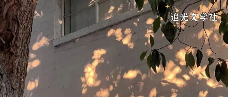 Java|我做公众号终于不亏钱了