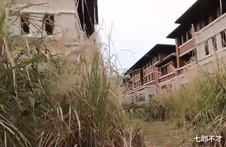 厦门|福州一处7年烂尾别墅群,芦苇盖住一层楼,1800户业主盼收房