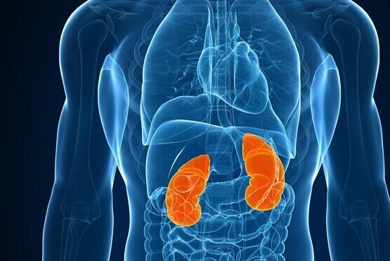 温阳|阳气少,如厕次数多?一张老方子,守住阳气