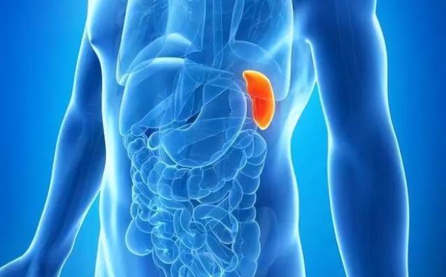 健脾|化妆不如健脾!学会4招,让你的脸白皙透亮,气血充盈