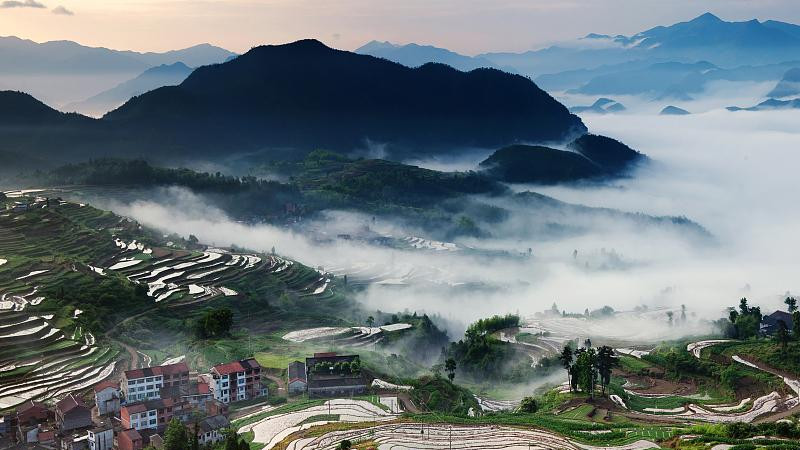 创业|上半年迎接五福，爱情甜蜜，职场升官发财，四生肖有望实现双丰收