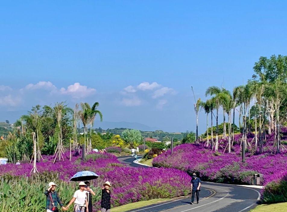 山西省|转阴后适合到温暖的城市？四川20°的幸福“暖城”，坐高铁5小时到