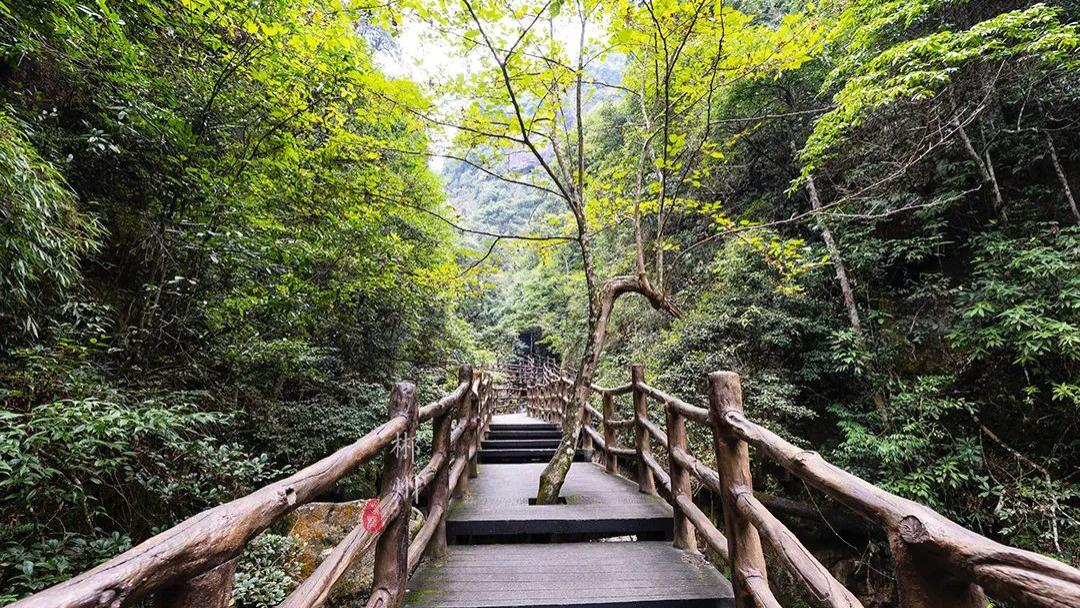 湖南|湖南面积最大的森林公园中，发现了一个人迹罕至的新景区