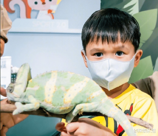 胡杏儿|胡杏儿庆祝二胎儿子满3岁,奕霖和哥哥捉蛇、玩蜘蛛,超勇敢