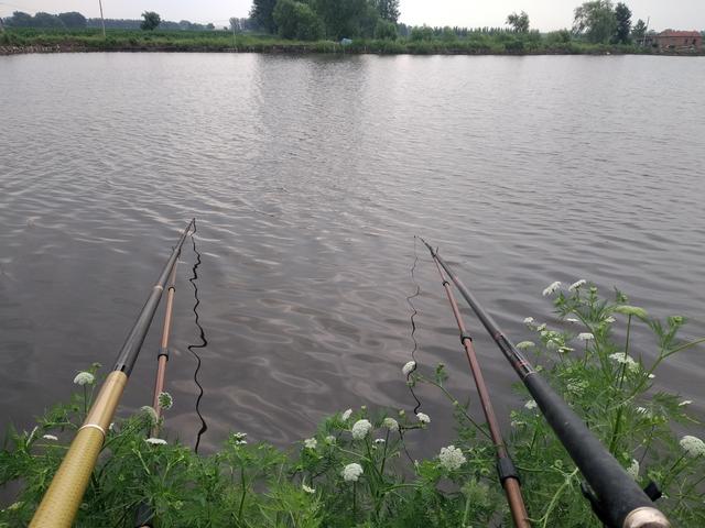 水库|没想到,钓龄20多年的我,还能在选竿子上吃大亏……