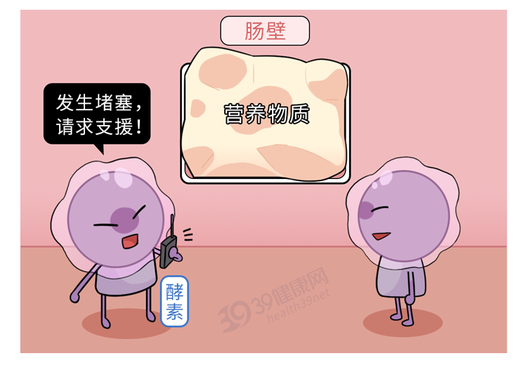 米饭 不吃主食，减肥养生？曝光：被吹上天的4种饮食方式，根本不养生