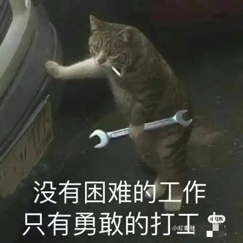 用了1年半,小城姑娘终于成了月入3万的网红