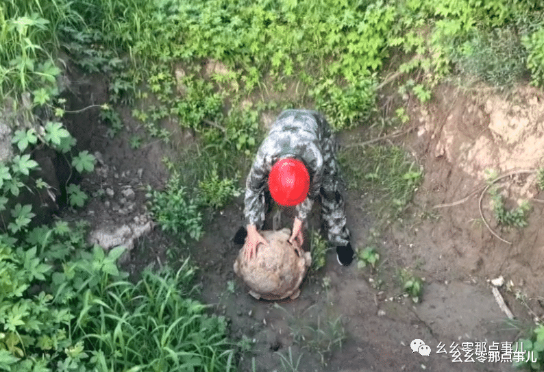 树林惊现俩铁球,疑似地雷太吓人!北京民警:大炼钢铁听过吗?