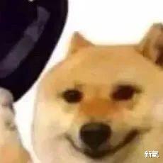 金高银|40w+点赞！金高银《小小姐们》因抹不掉的【松弛感】被骂上热搜？