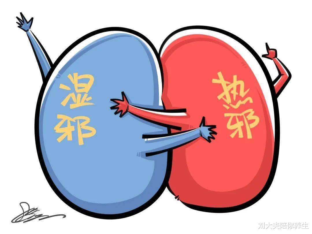 菊花|长夏湿热重,养脾是关键!常吃5种食物,助你健脾养胃、清热利湿