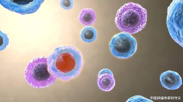 黄帝内经|抗癌中药——八角莲,功效清热解毒、化瘀散结、祛瘀消肿