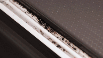 一个女人是否真的“精致”，看她家里这3个地方就行，装不出来的