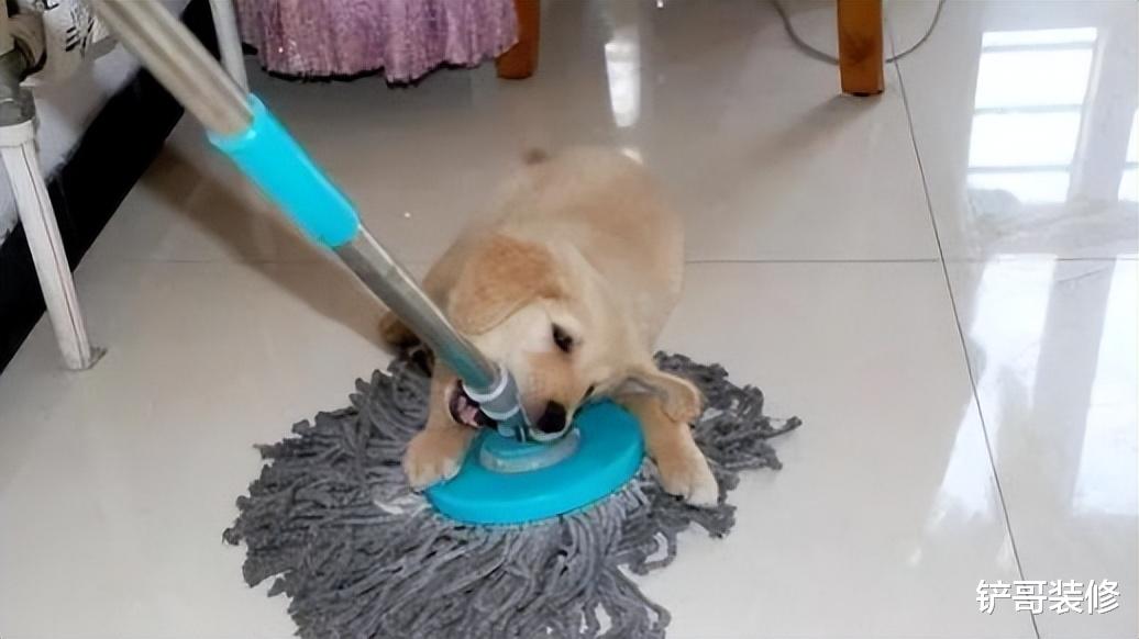 建议大家:拖地时,往水中加张“纸”,地板干净不落灰,真干净