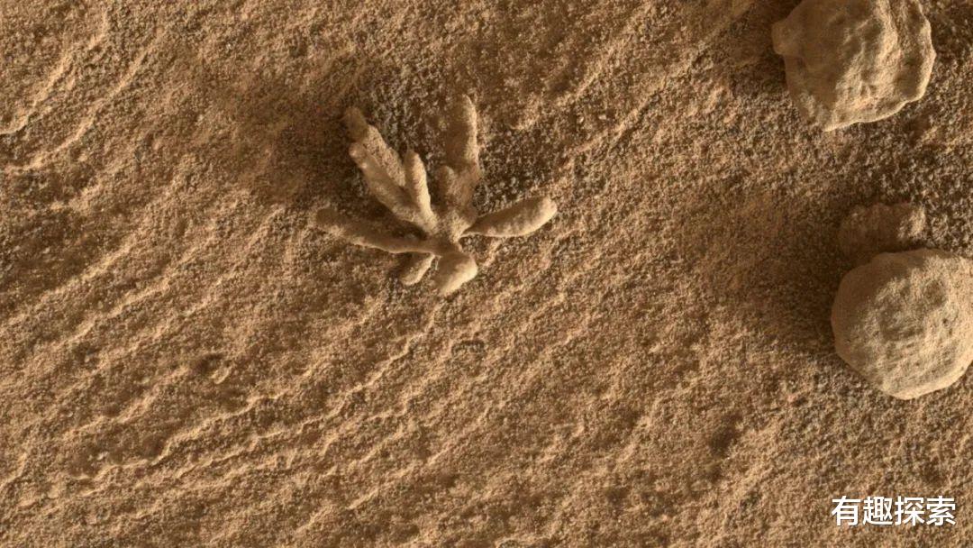 2008年,NASA火星轨道器曾拍到一排排“树木”,它是怎么形成的?