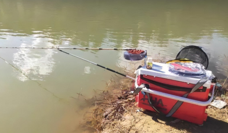 饵料|钓鱼没口别只想着换饵料,这几种方法更有效果