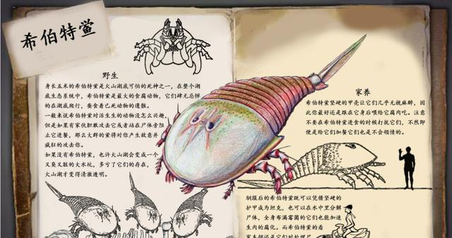 一种古老的蓝血生物,拥有3颗心脏,它们快要毁在人类手里了