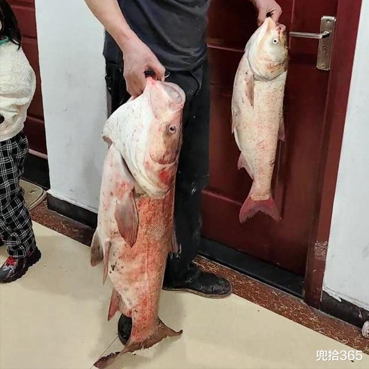 河南|河南一男子带着俩孩子去钓鱼，妻子直接要求离婚，到底怎么回事？