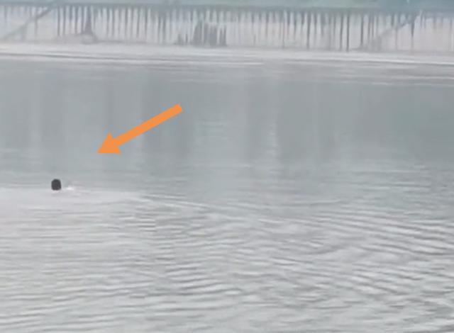 溺水|鱼竿把钓竿拖入河中,重庆男子下水捞鱼竿!为何会游泳还会溺水?