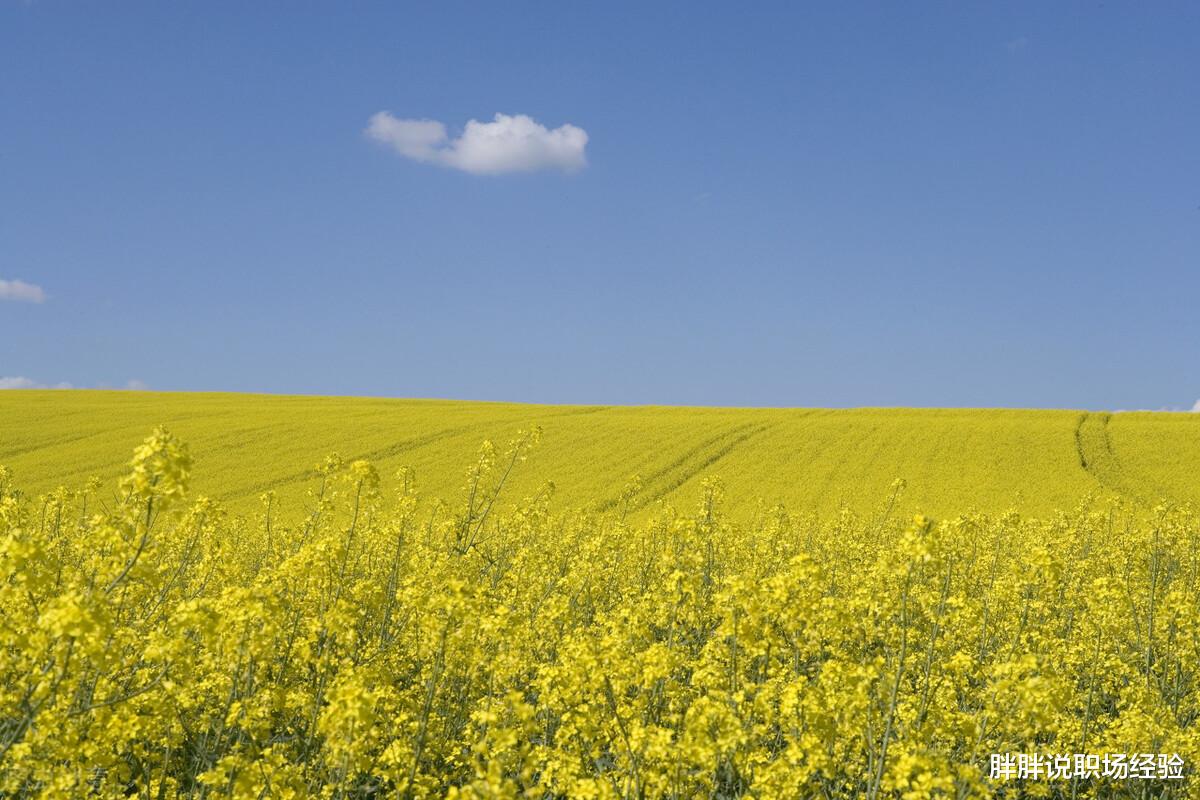 职场故事|职场中,如何和同龄人拉开差距,要坚持做到这三点
