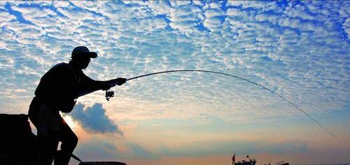 饵料|钓鱼界的“神雕侠侣”!八旬老夫妻结伴钓鱼,网友:最浪漫的事