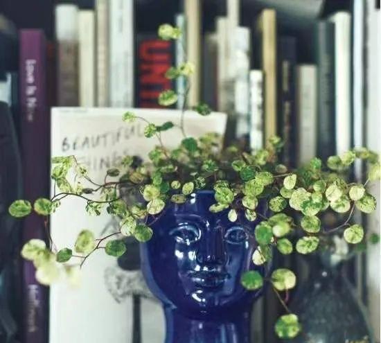 50岁日本太太的精致家居,在家装点出春天,满屋绿植,温馨又养眼