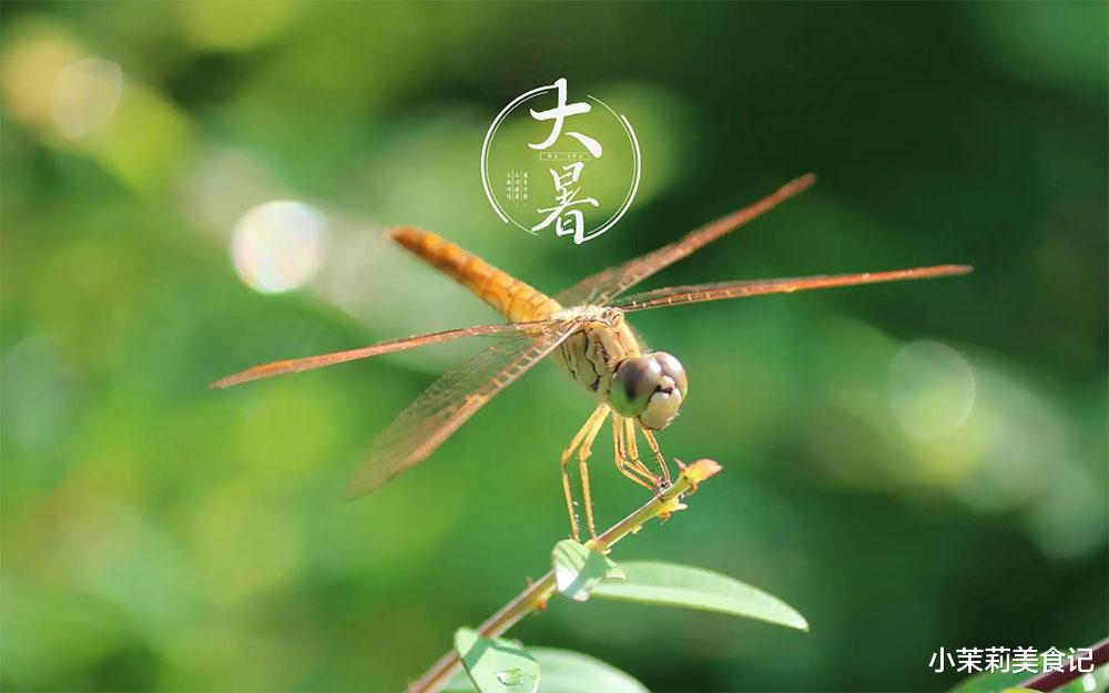 明日大暑,若不差钱,建议多吃5种食物,益气养阴,为秋冬打基础