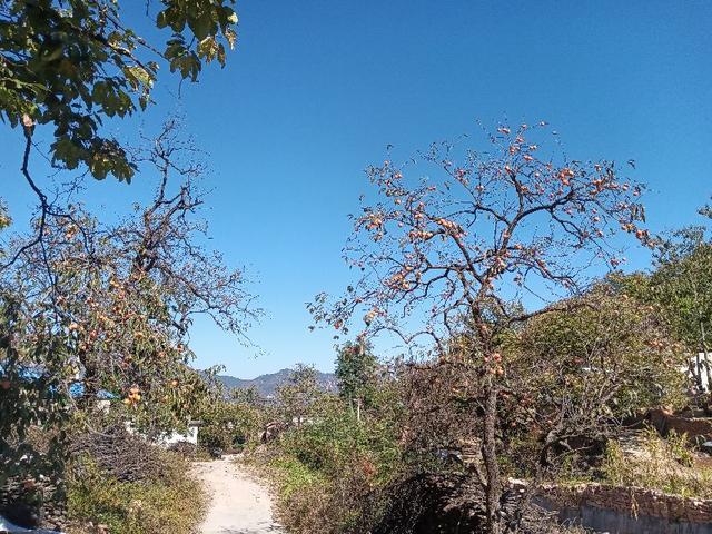 交通法规 清晨爱车准备出发