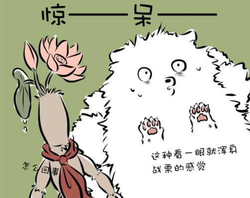 白泽|非人哉：白泽的天赋让人看了就害怕，九月哪吒吓得动都不敢动！