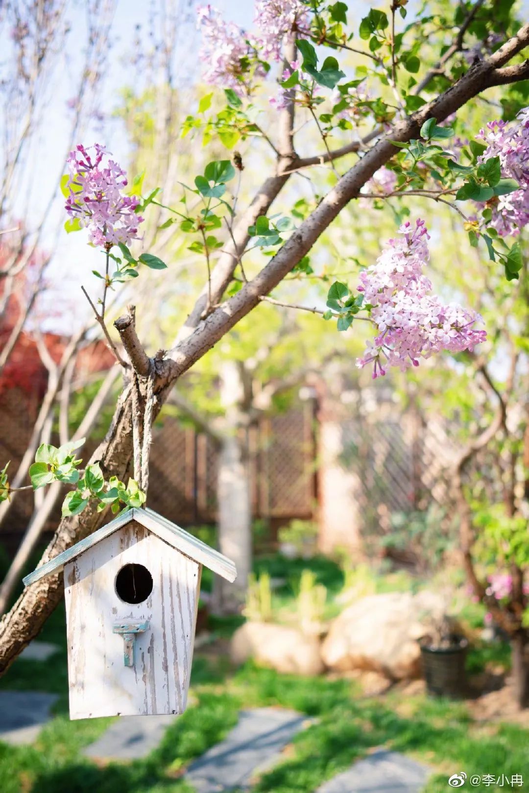李小冉|看了李小冉8.5亿的豪宅,才明白为什么有1300万人羡慕她的生活