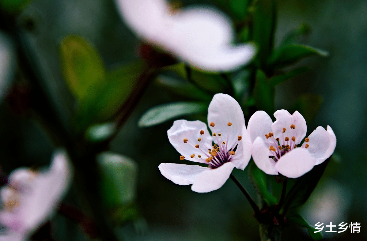 养生|人到中年，最高级的养生，不是睡觉，不是锻炼