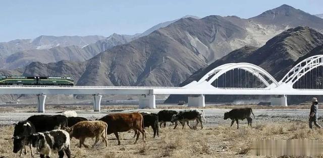 西藏|为修建1条铁路,准备横跨喜马拉雅山,值得吗?