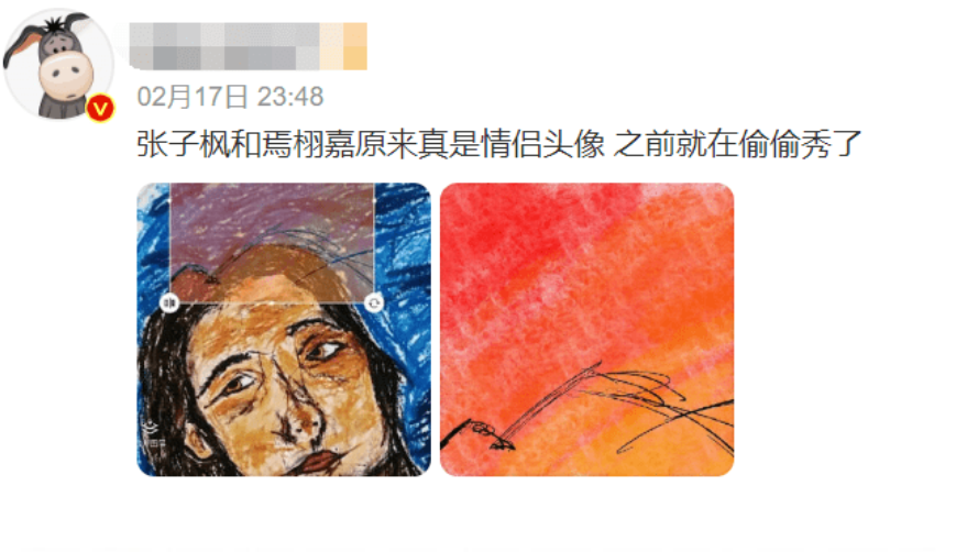 焉栩嘉|张子枫焉栩嘉恋情曝光，请网友放下助人情结，祝二人幸福