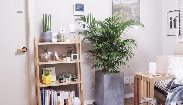 下定决心离开家庭庇护,搬进56小家,一个人过更要舒服精致