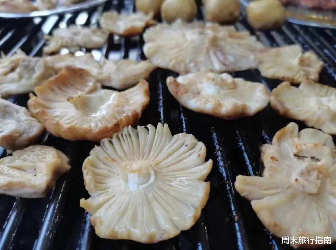 野生菌|刘亦菲新剧刷屏!均温20℃的神仙取景地,私藏“全国最毒”美味,吃过就上头!