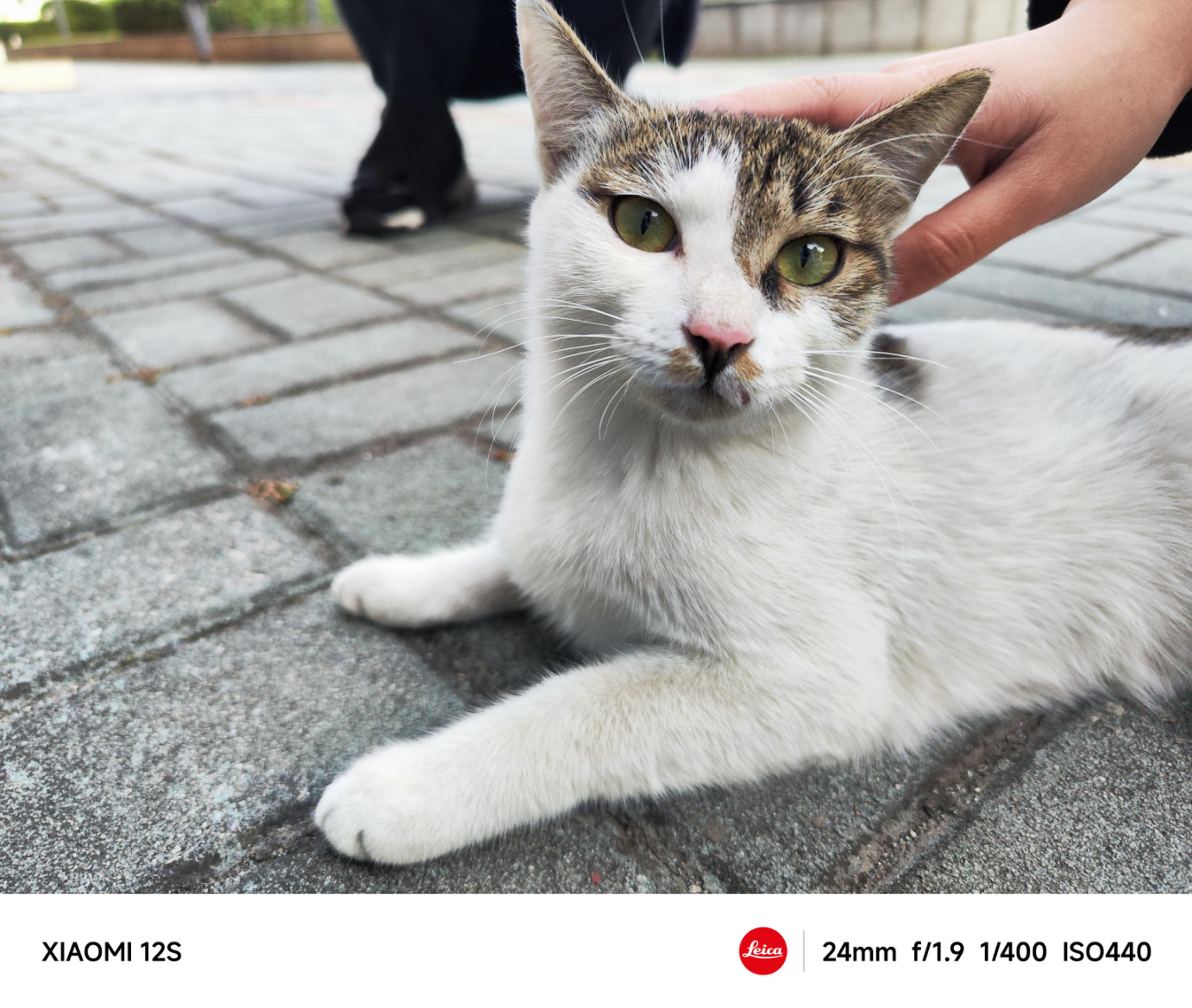 小米科技|小屏最终真香?从大屏用回小屏,我愿称小米12S为小屏之光