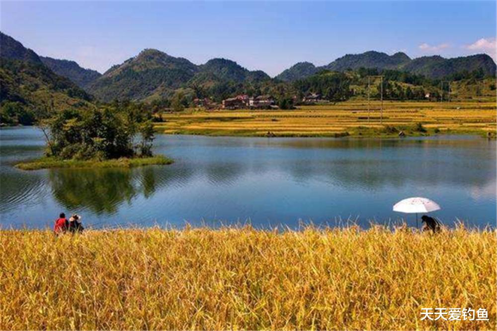 |钓鱼必杀技:温度与鱼口的关系,了解这些变化规律,野钓百战百胜