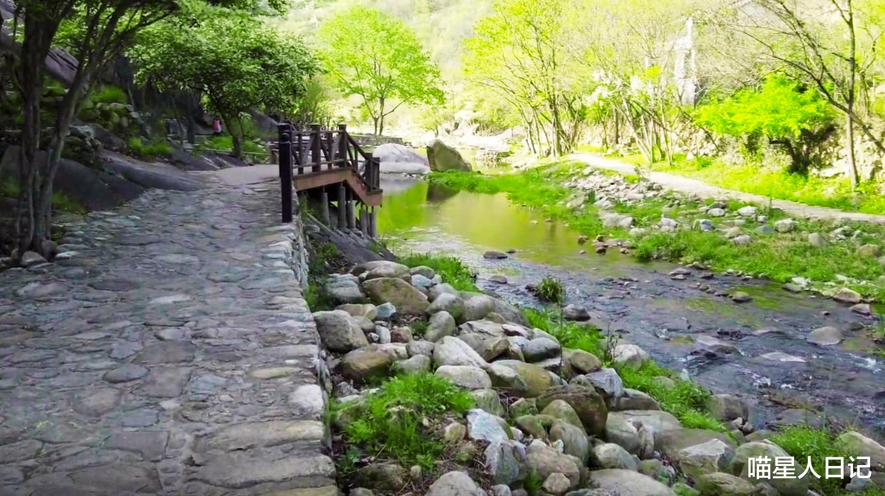 武汉|八月游武汉黄陂这座大山里的景区,顺着溪流随拍,清凉环境很舒服