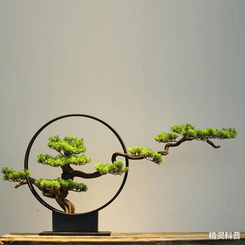 进门玄关三见三不见到底是什么意思?尤其是这个装饰品,弄不好就破财!