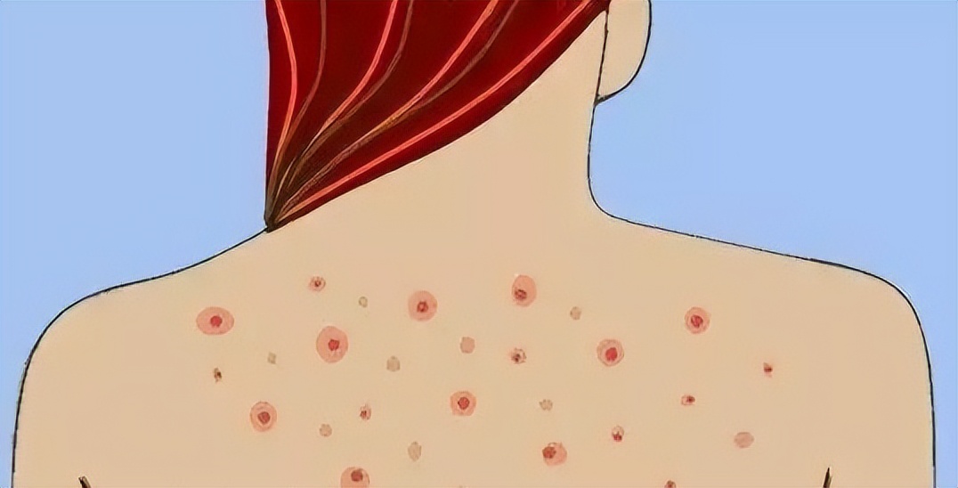 为啥说日本家居很“走心”?看完这3个小物件的设计,我不得不服