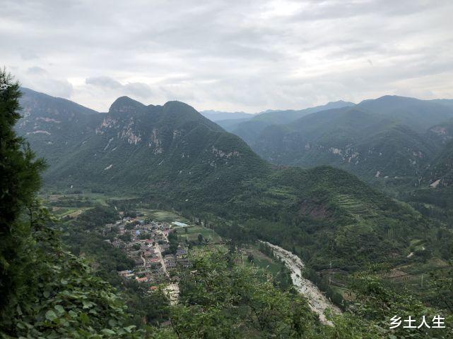 一甲一天地,远看有甲无奇仪,近看“奇仪”不见甲,甲代表什么?