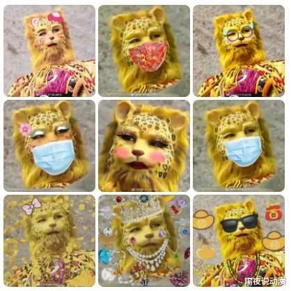 豹子|一夜之间,“金钱豹”刷屏互联网!年轻人为了暴富,究竟有多拼?