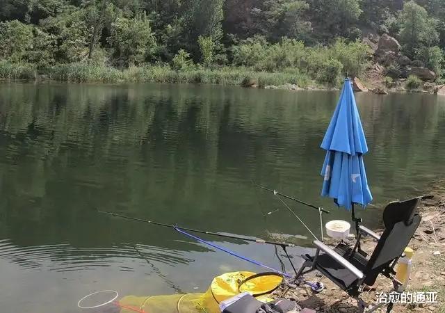 大号|野外钓鱼没带纸，上大号你会选哪些东西应急？网友：玉米芯也能用