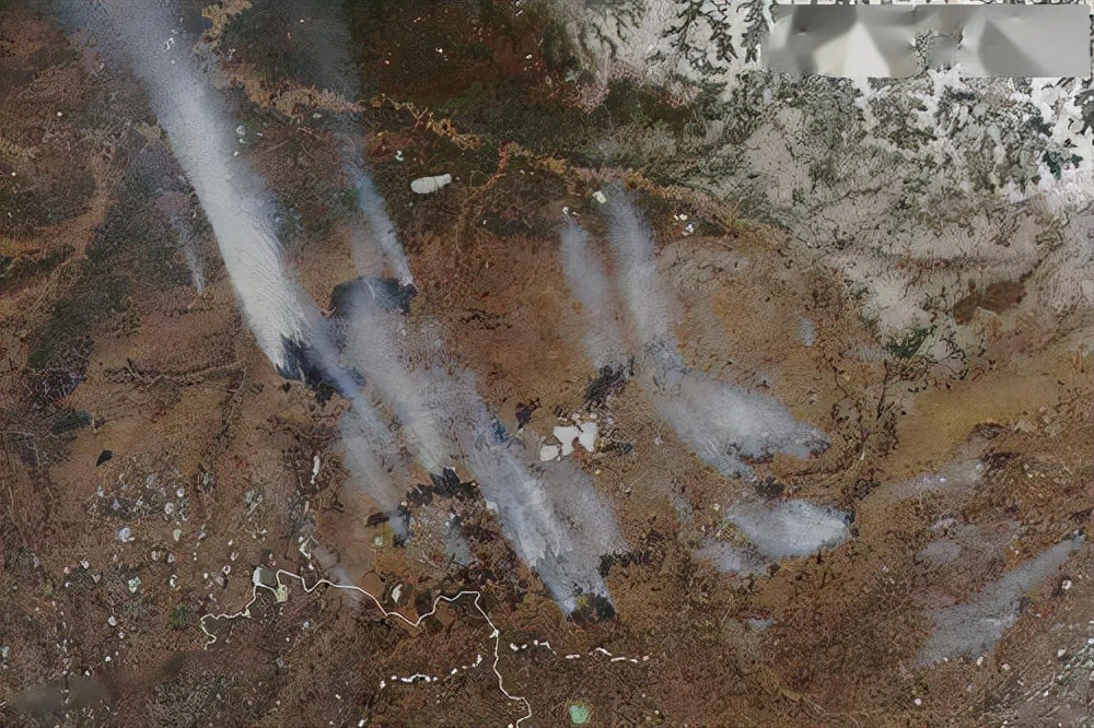 全球气温上升,5.7万年前的远古生物和病菌乍现,这是危险的信号