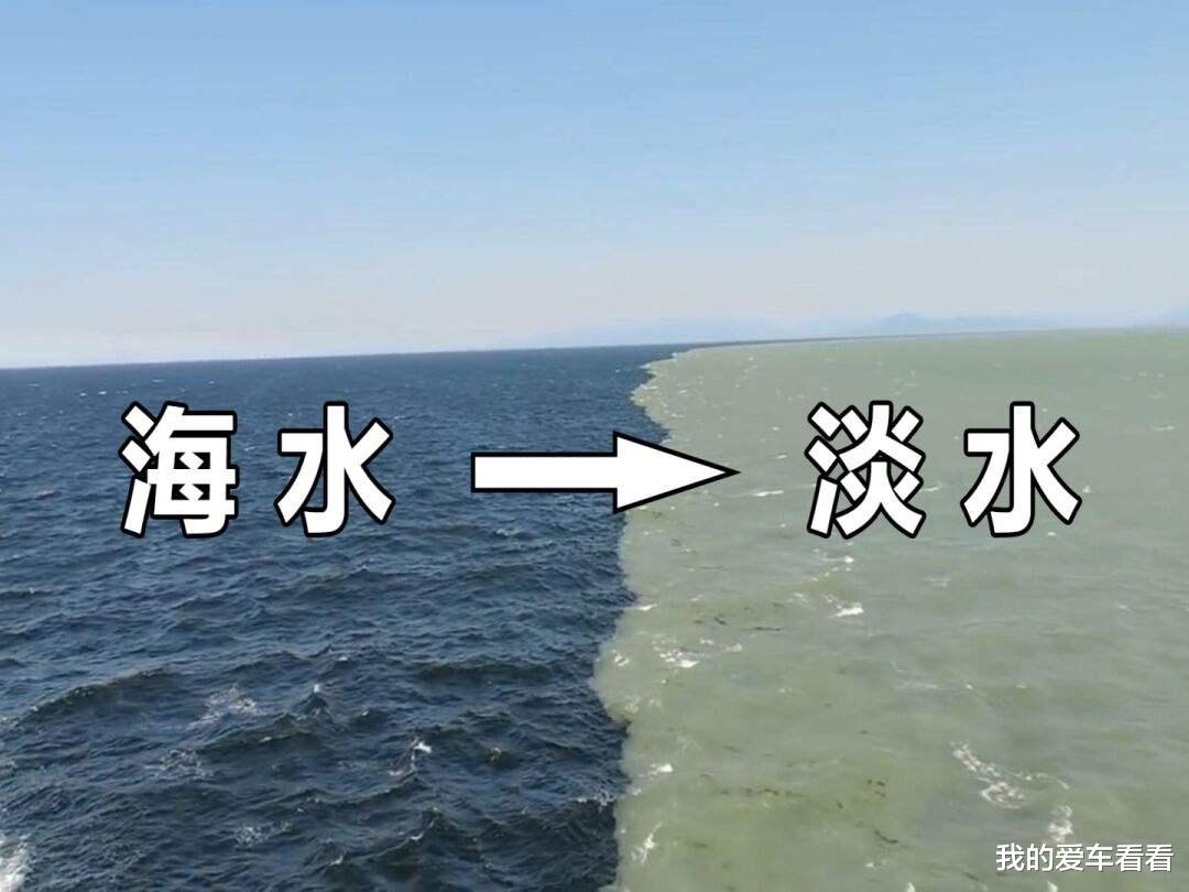 我国卫星发现,汤加火山喷发后,海面出现大量会“游泳”的石头