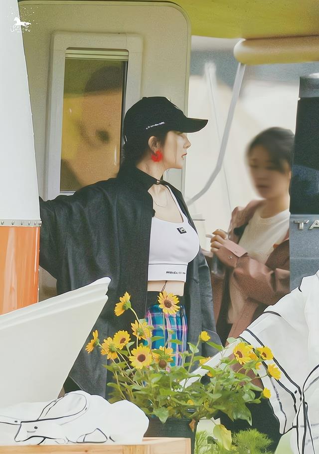 郑伊健|时隔5年,《花儿与少年》重新开始录制,杨幂力争做那朵最辣的花