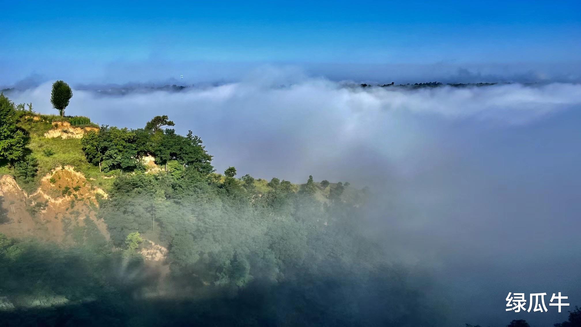 陕西|人间仙境！七八月的陕西彬州农村，网友直呼妖娆
