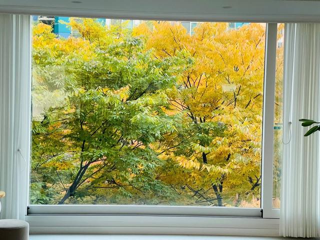 一进门就被这家的落地窗迷住，好看到移不开眼，新家一定跟着学！