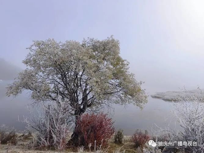 金佛山|美景欣赏,香格里拉深秋普达措上演“冰雪奇缘”