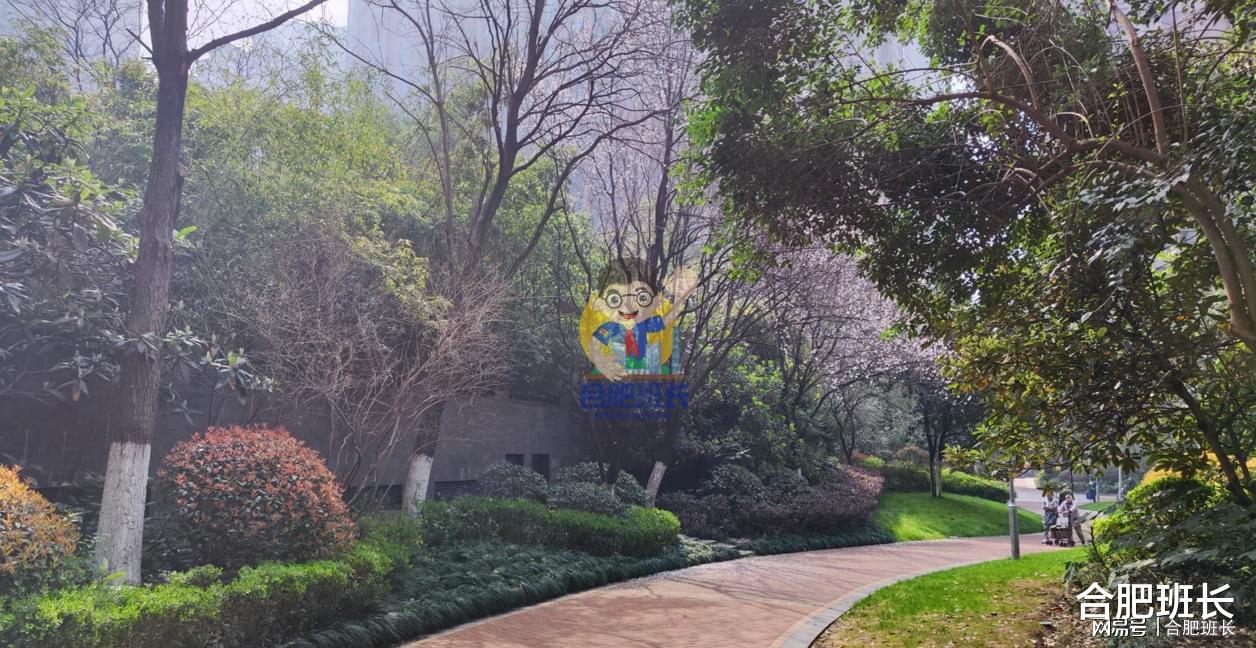 摇号比例由1.5到1.2，对市场有什么影响？